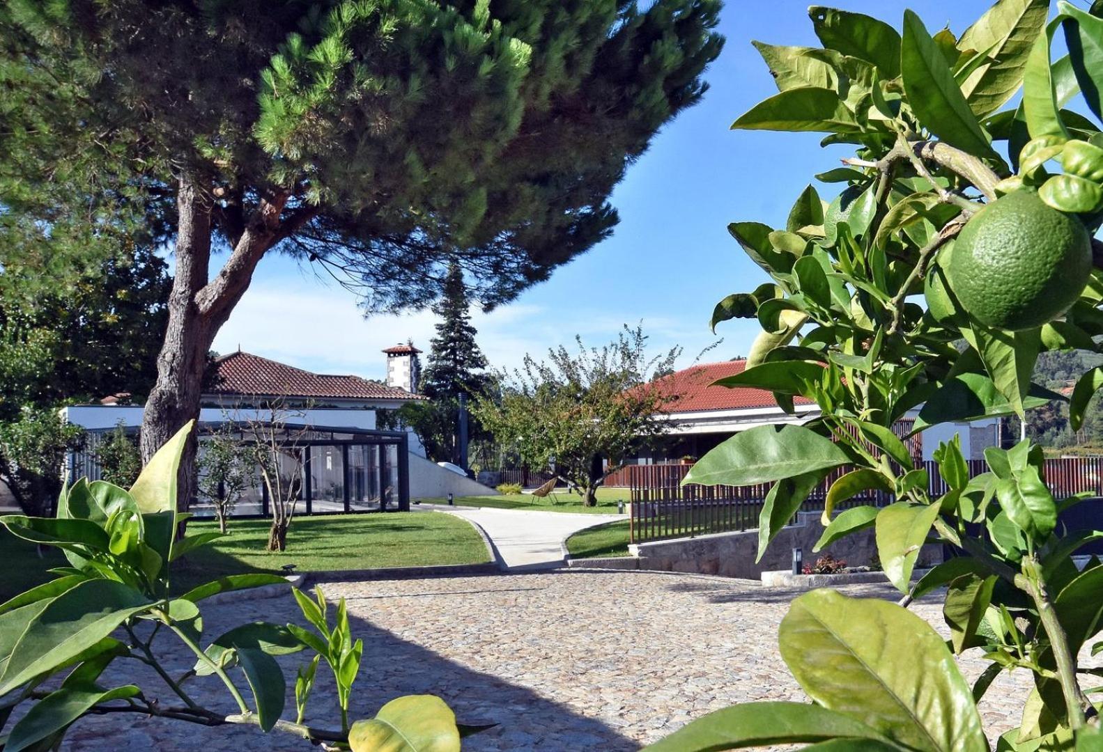 Alminhas Da Mindua - Unique Experiences By Luxistay Vitorino dos Piaes Luaran gambar