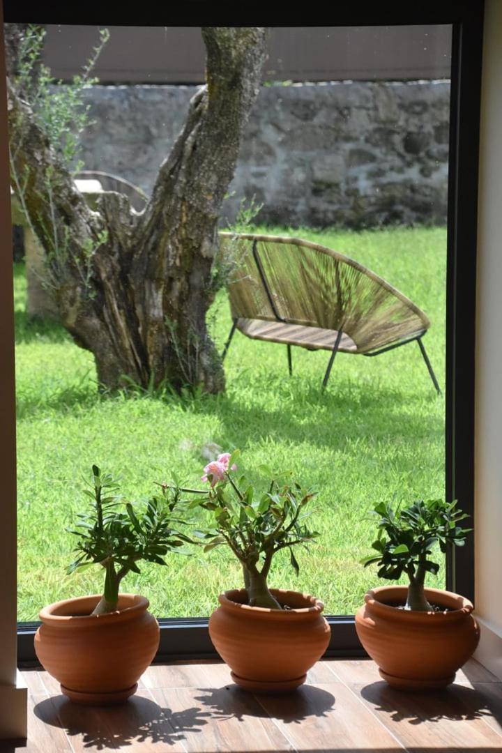Alminhas Da Mindua - Unique Experiences By Luxistay Vitorino dos Piaes Luaran gambar